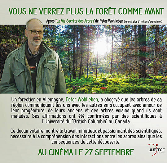 La vie secrète des arbres au cinéma