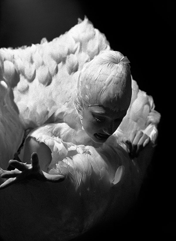 Ann RAY, Fallen Angel, 2009. Gelatin silver print, 180 x 120 cm. © Ann Ray & Galerie de la Béraudière