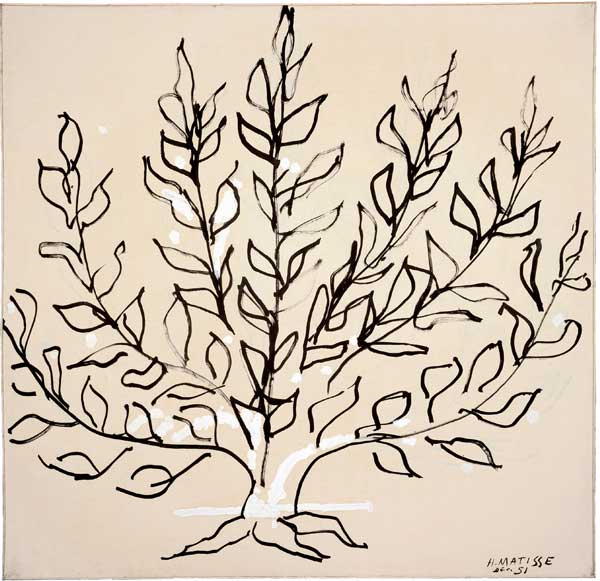 Henri Matisse, Le Buisson, 1951, encre et gouache sur papier, 149 x 149 cm. Collection Adrien Maeght, Saint-Paul-de-Vence © Succession H. Matisse