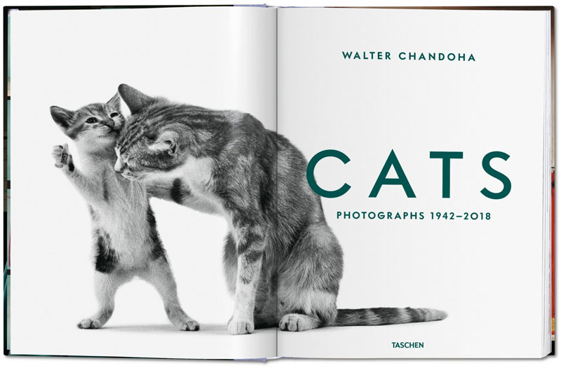 TASCHEN Walter Chandoha. Cats. Photographs 1942–2018