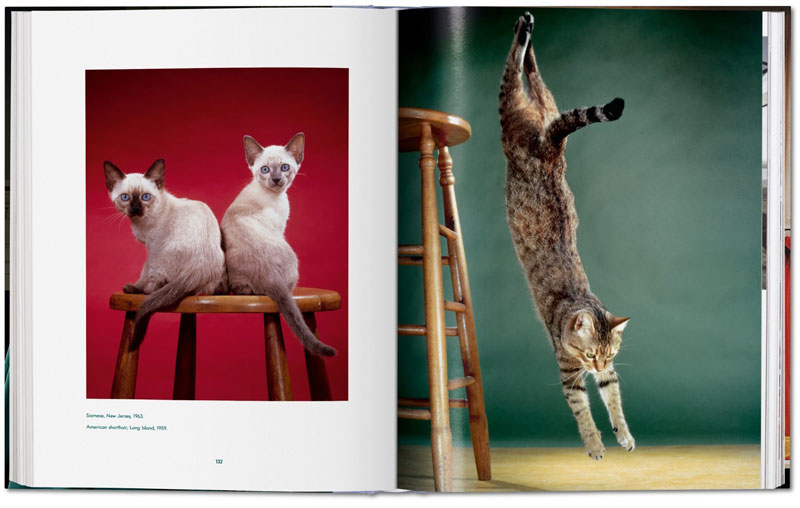 TASCHEN Walter Chandoha. Cats. Photographs 1942–2018